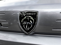 Peugeot Traveller