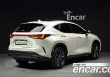 Lexus Nx 