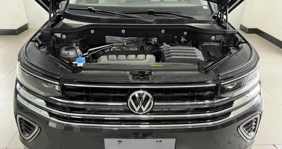 Volkswagen Tavendor