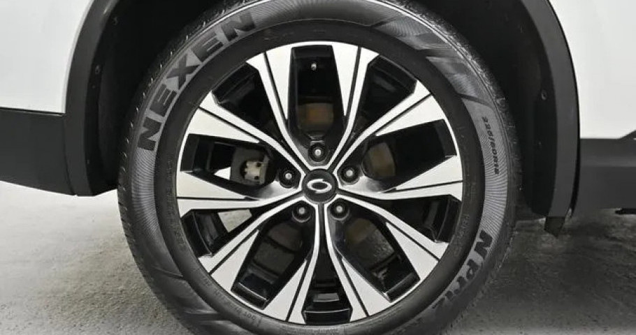 Renault Qm6 