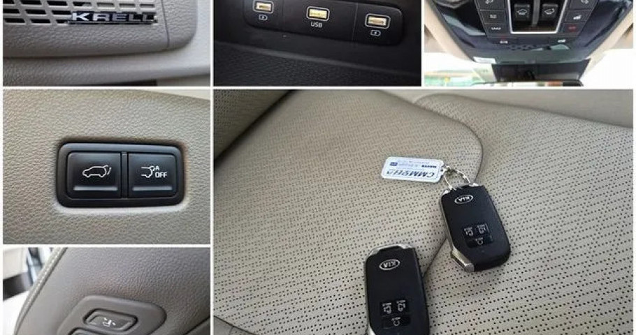 Kia Carnival 