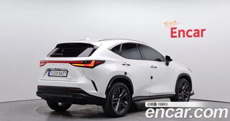 Lexus Nx 