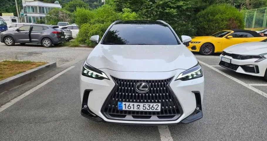 Lexus Nx 