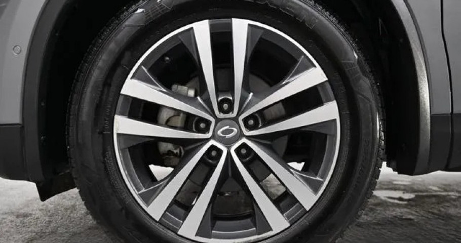 Renault Qm6 