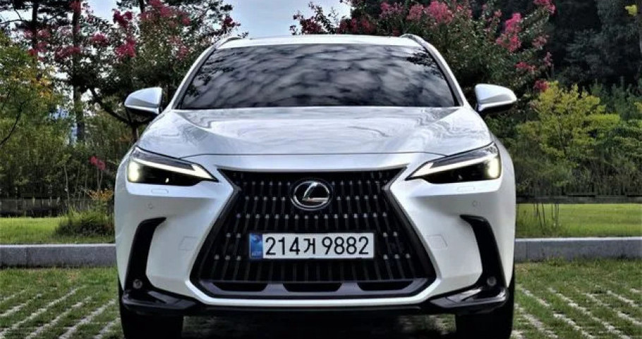 Lexus Nx 