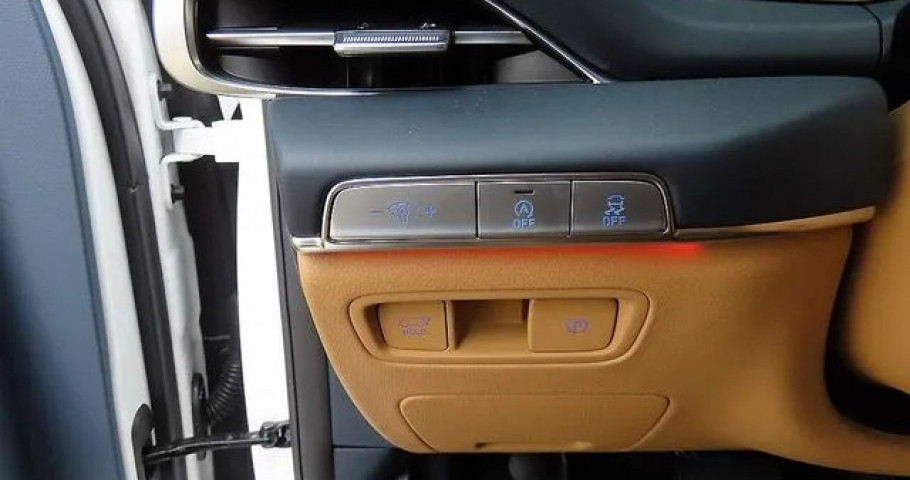 Genesis Gv80 