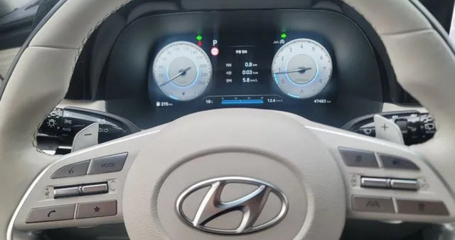 Hyundai Palisade 