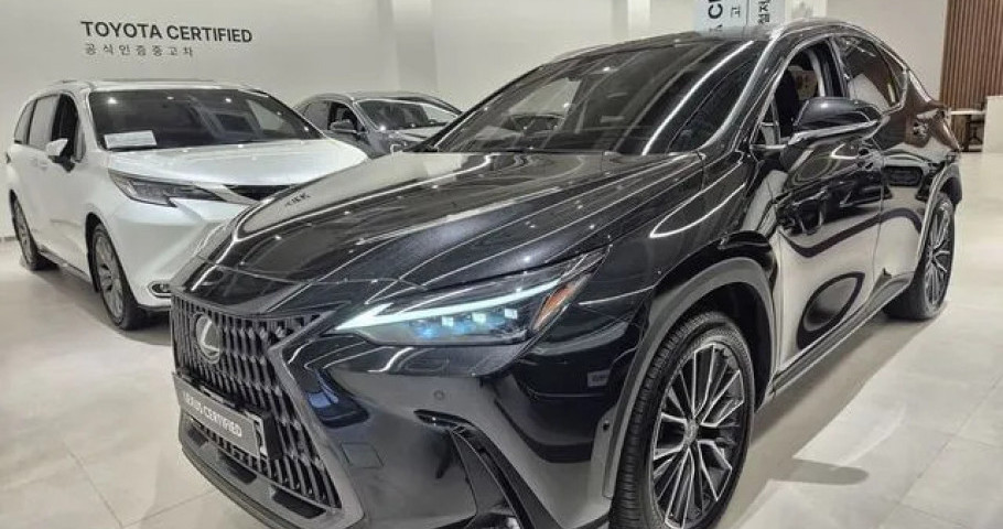 Lexus Nx 