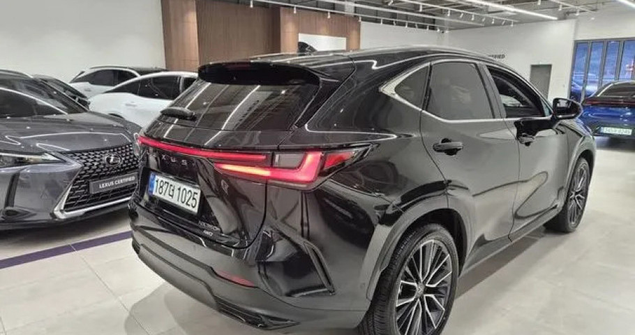 Lexus Nx 