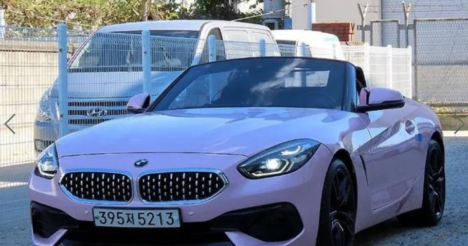 Bmw Z4 