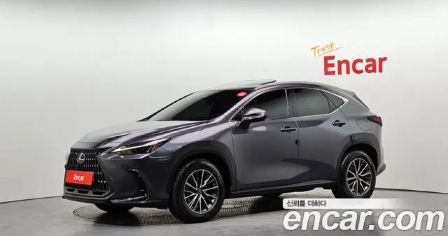 Lexus Nx 