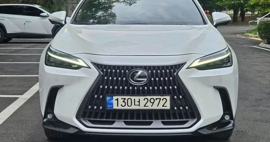 Lexus Nx 