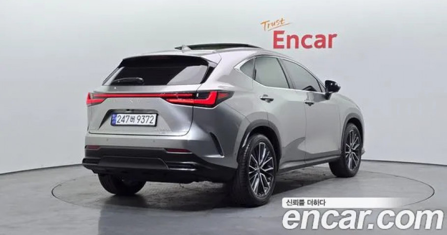 Lexus Nx 