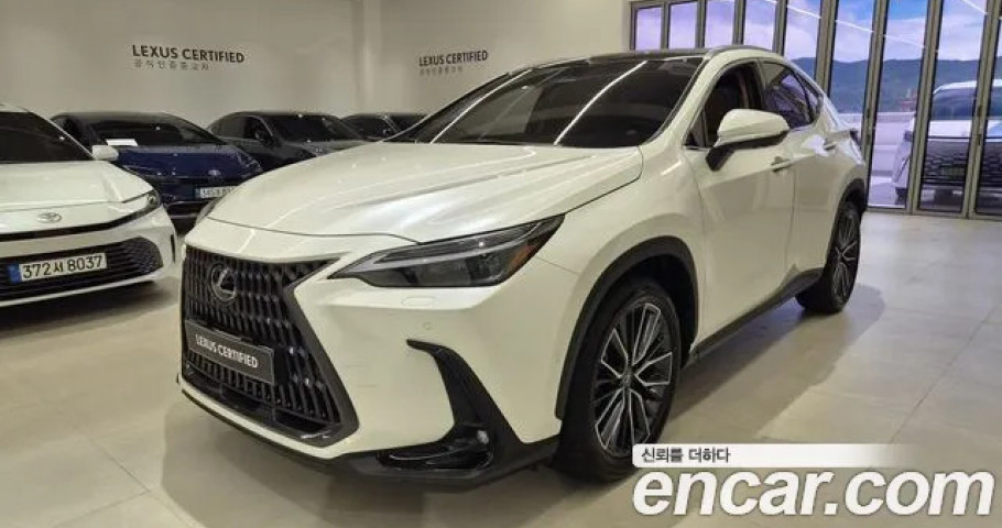 Lexus Nx 