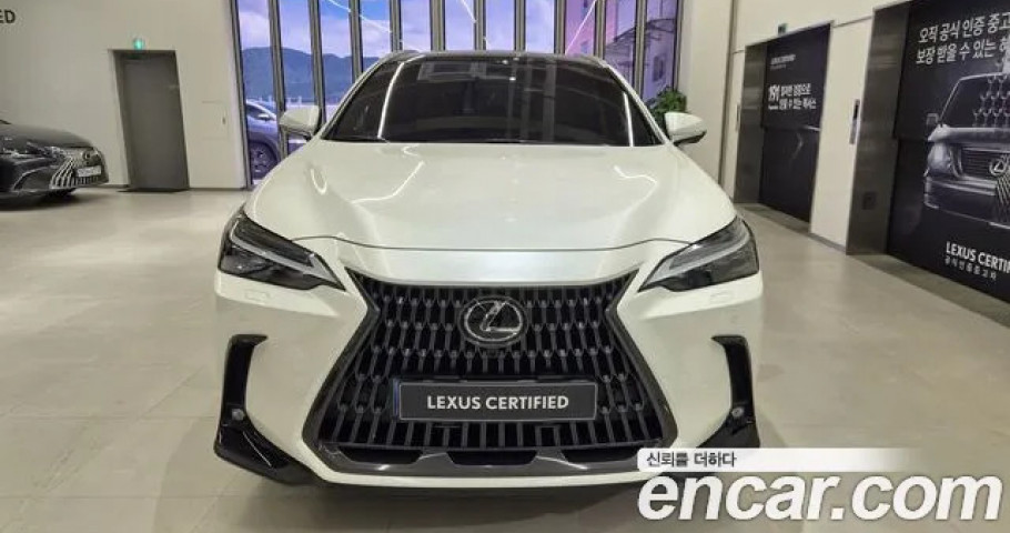 Lexus Nx 