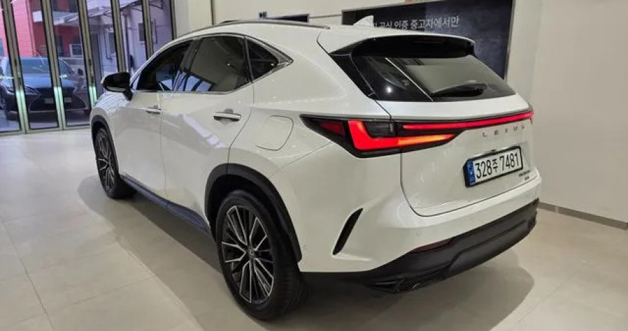 Lexus Nx 