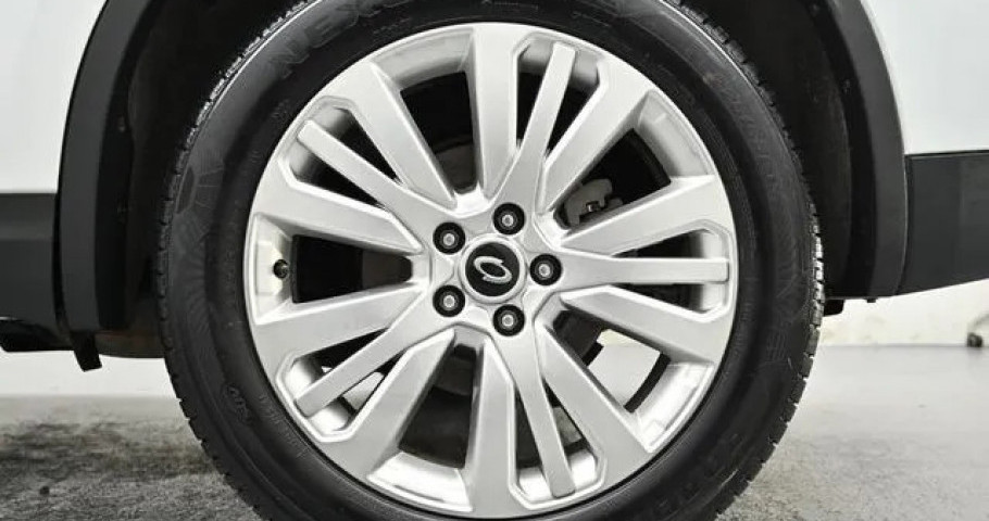Renault Qm6 