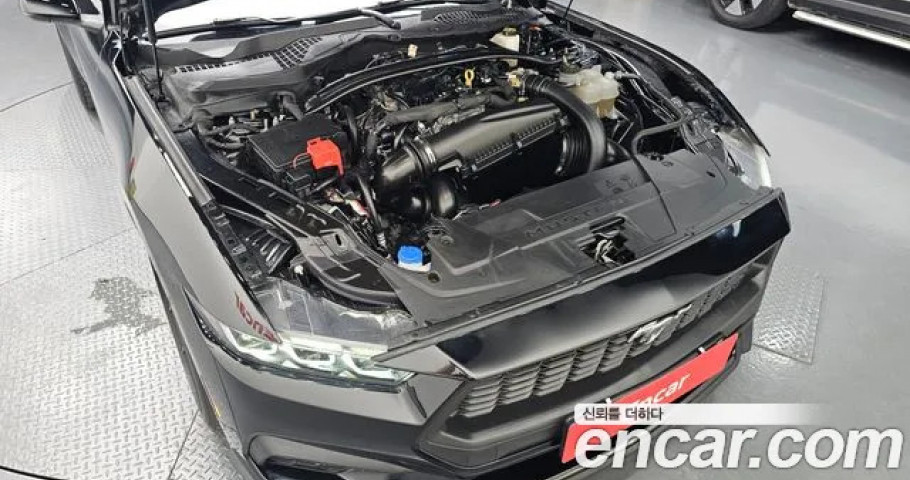 Ford Mustang 