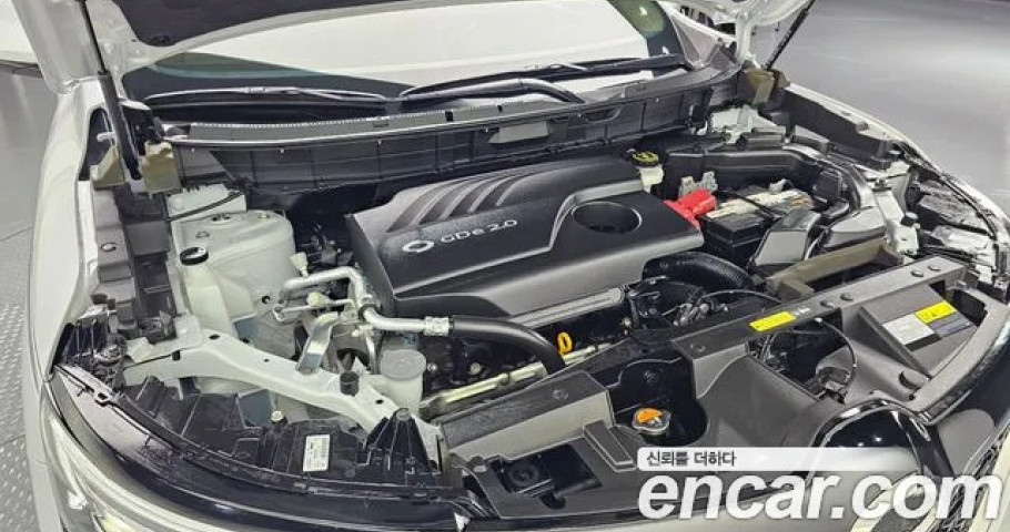 Renault Qm6 