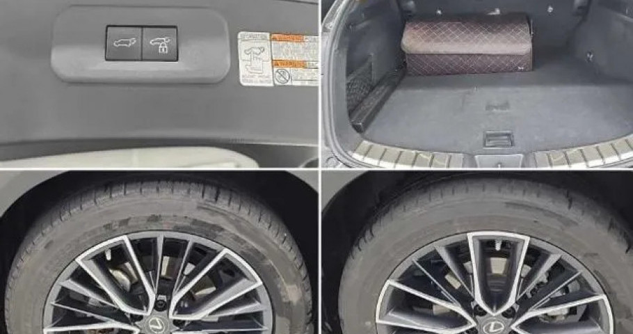 Lexus Nx 