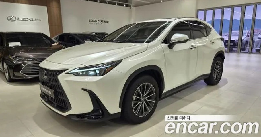 Lexus Nx 
